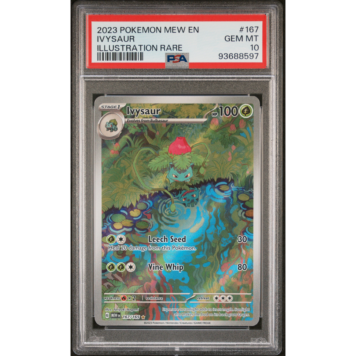 Ivysaur 2023 Pokemon Mew EN -151 Illustration Rare PSA Gem Mint 10